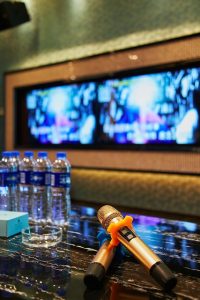 Karaoke Bar Private room